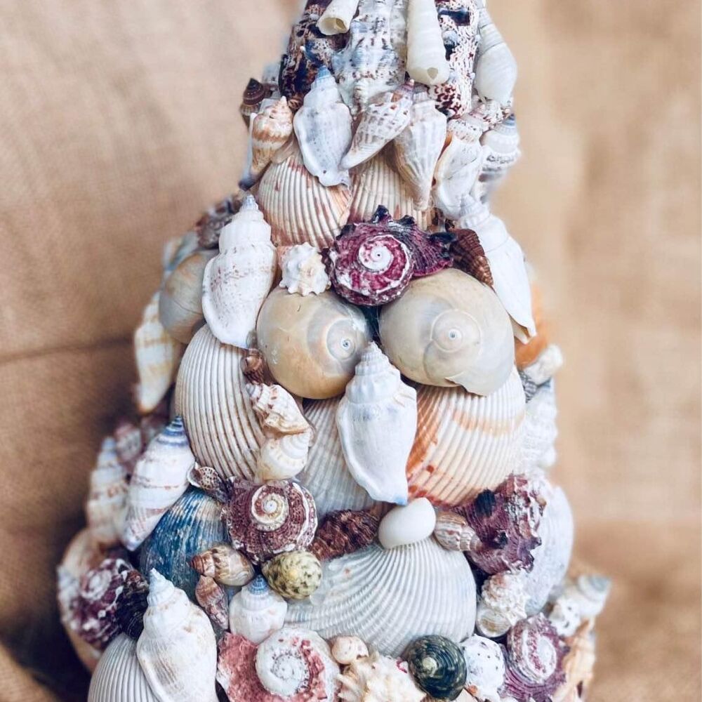 Handmade Seashell Tree Topiary | Coastal Beach House Decor Mixed Natural Ocean